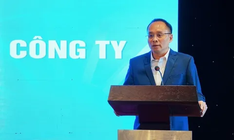 PV Power bổ nhiệm Phó Tổng Giám đốc mới