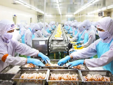 Nghiên cứu gói tín dụng hỗ trợ doanh nghiệp lâm, thủy sản trong tháng 5