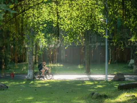 Bác sĩ “kê thiên nhiên” vào đơn thuốc trị bệnh