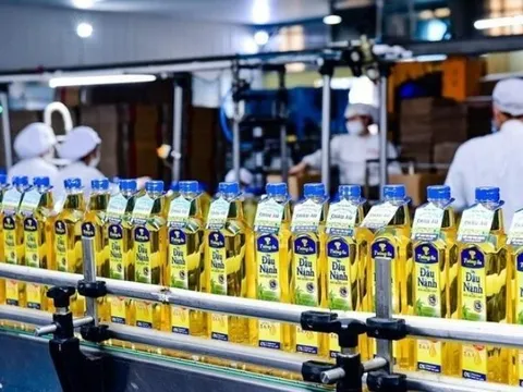 Tập đoàn Kido bị truy thu, xử phạt thuế vì khai sai
