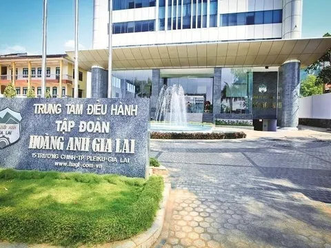 HAGL tiếp tục muốn hoán đổi nợ thành cổ phần tại Công ty Chăn nuôi Gia Lai