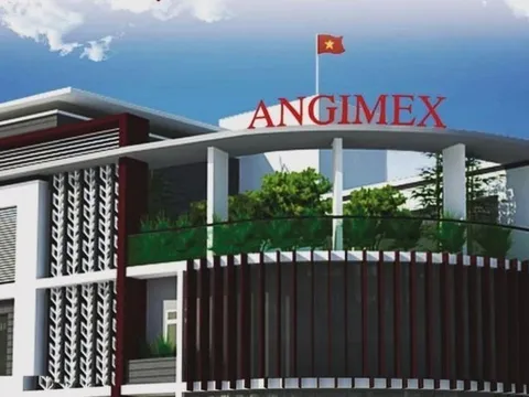 Angimex dự kiến phát hành cổ phiếu thưởng để bù lỗ, lên kế hoạch năm 2024 lãi 27 tỷ