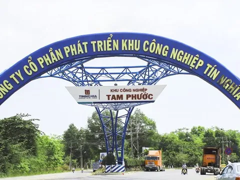 Lãi ròng giảm hơn 11% sau kiểm toán, Tín Nghĩa (TIP) nói gì?