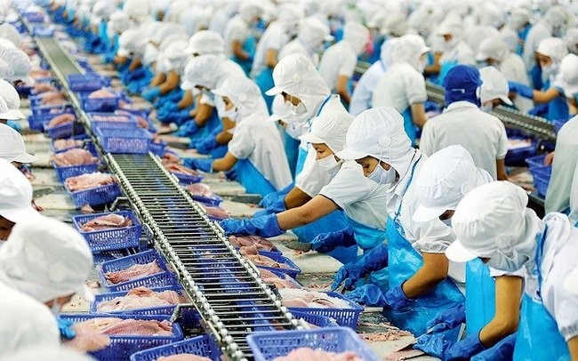 Thuỷ sản Nam Việt (ANV) muốn phát hành 133 triệu cổ phiếu, tăng vốn lên hơn 2.660 tỷ đồng