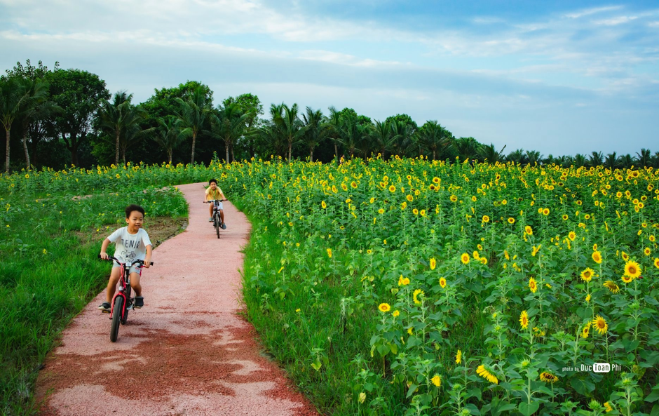 don-thuoc-thien-nhien-ecopark-3-1695344345.png