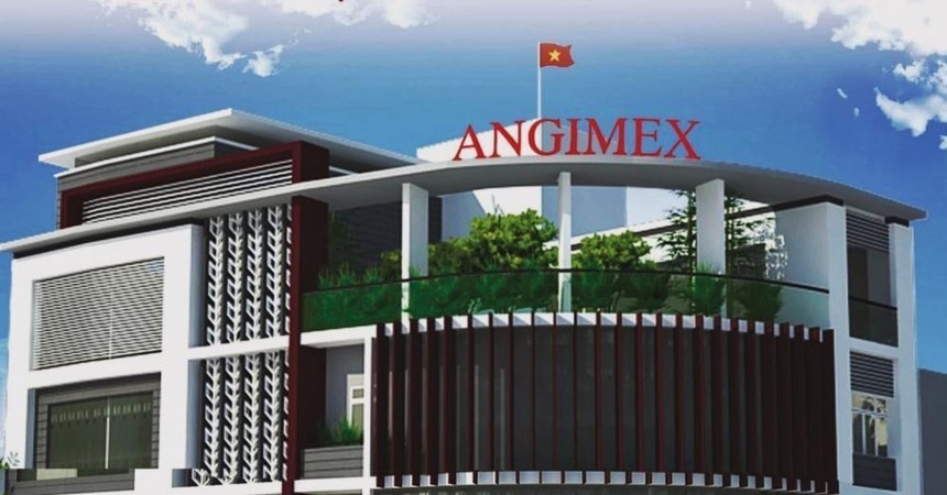 angimex-1699460618.jpeg