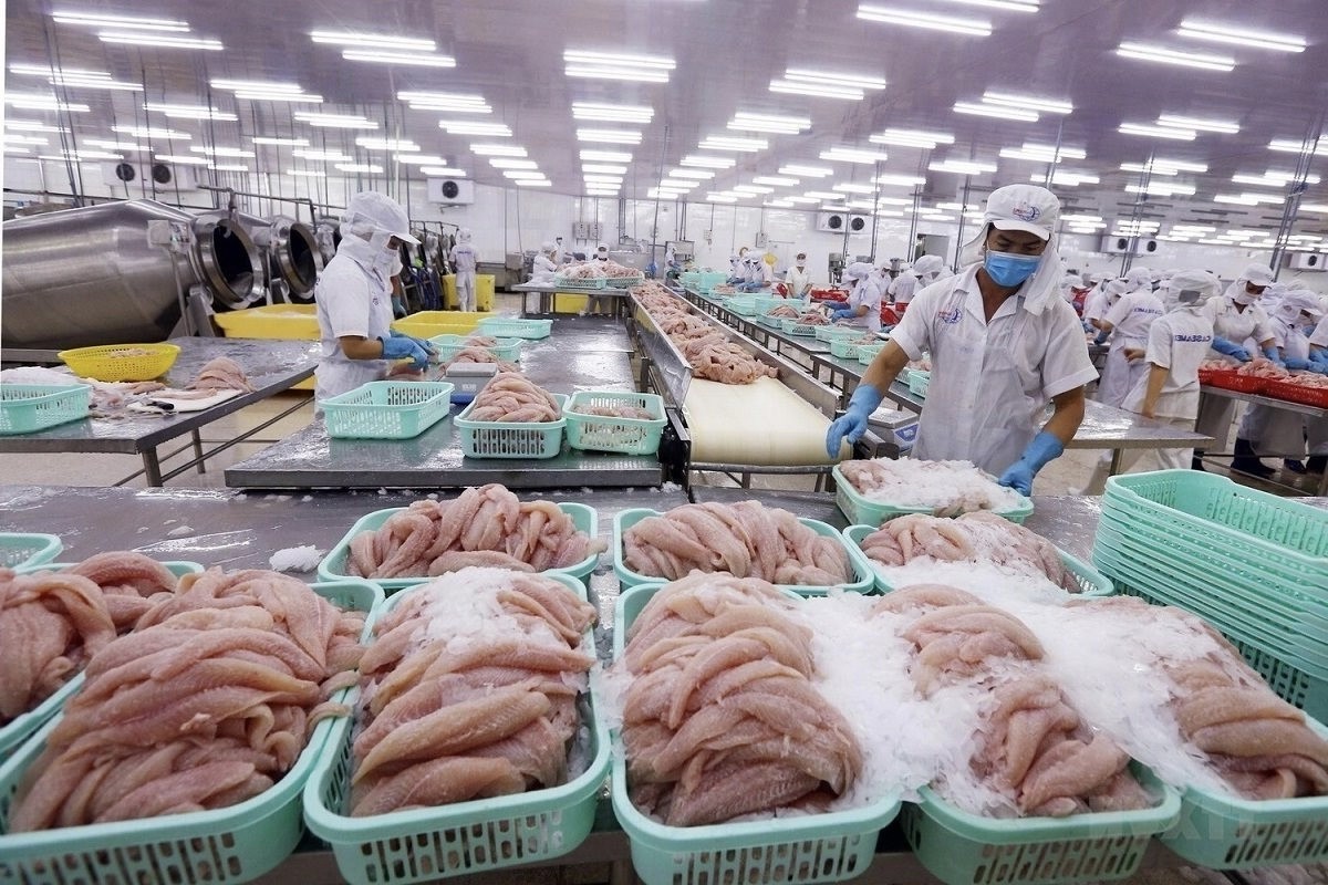 Giải ngân trên 60% gói tín dụng 15.000 tỷ đồng cho lĩnh vực lâm, thuỷ sản