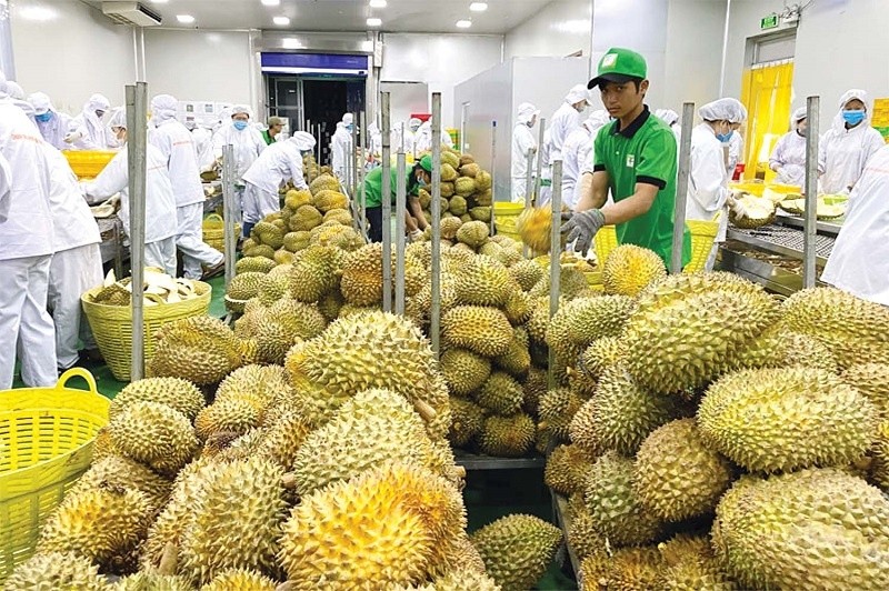 Doanh nghiệp đẩy mạnh xuất khẩu, tăng tốc về đích 6 tháng cuối năm 2025