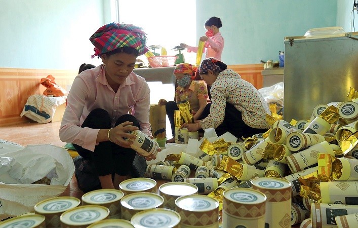 Việt Nam thúc đẩy sản xuất tại khu vực nông thôn, miền núi và hải đảo