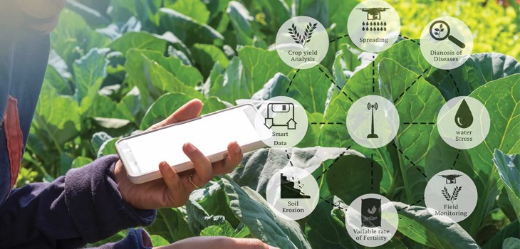 Tiềm năng của ứng dụng công nghệ thông tin trong truy xuất nguồn gốc
