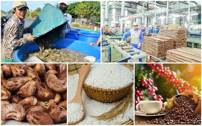 7 nhóm hàng nông sản xuất khẩu trên 3 tỷ USD năm 2022