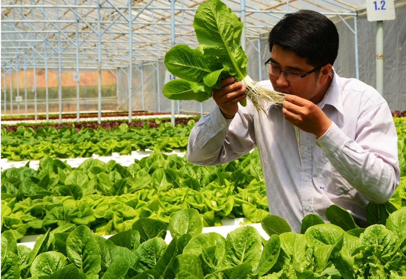 Khoa học công nghệ và đổi mới sáng tạo - động lực xây dựng nền nông nghiệp năng suất, chất lượng