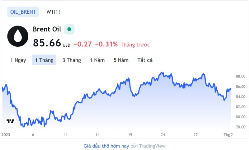 Giá xăng dầu hôm nay 1/2: Cập nhật giá xăng dầu trong nước, quốc tế