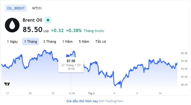 Giá xăng dầu hôm nay 16/2: Cập nhật giá xăng dầu trong nước, quốc tế