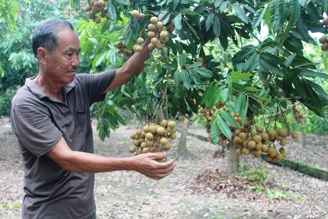 Việt Nam hoàn thành mở cửa thị trường nông sản sang một số nước
