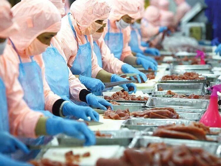 Xuất khẩu thủy sản Việt Nam vượt mốc 10 tỷ USD trong 11 tháng