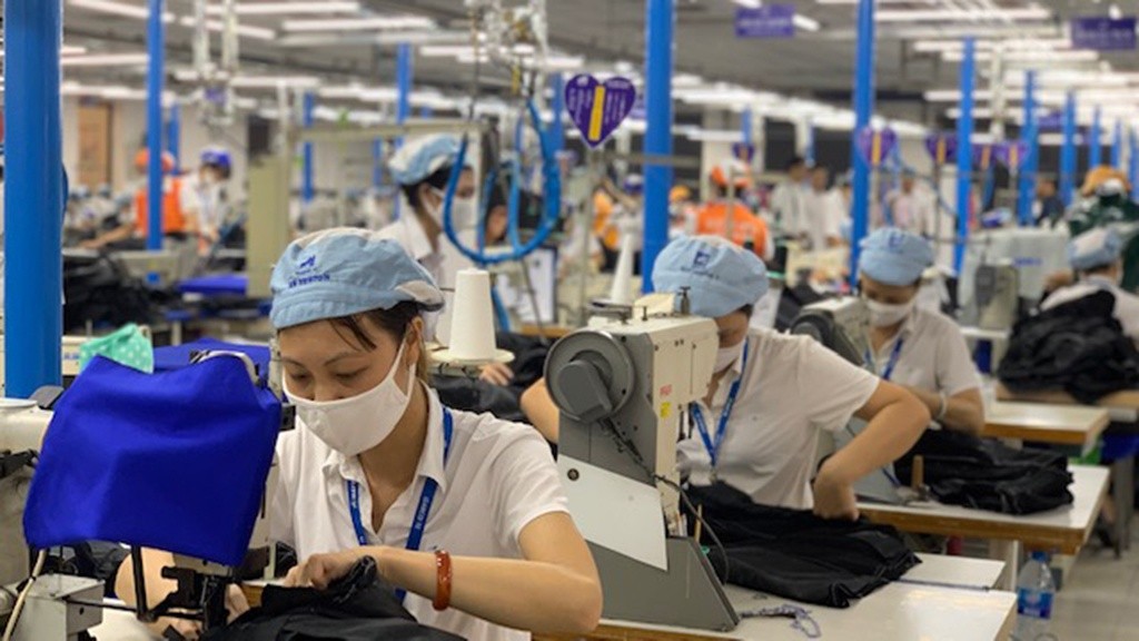Công ty Cổ phần LISOHAKA nợ BHXH lên tới 183 tháng