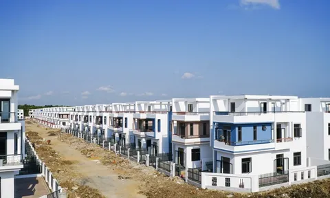 LDG lên tiếng trước việc Chủ tịch HĐQT bị khởi tố và tạm giam liên quan đến Dự án KDC Tân Thịnh