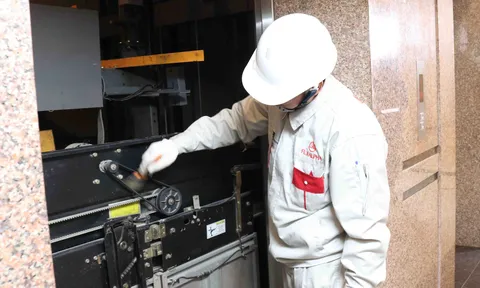 Chiến lược thang máy "quốc dân" dành cho gia đình Việt